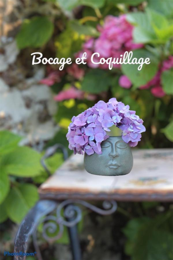 Bocage Et Coquillage